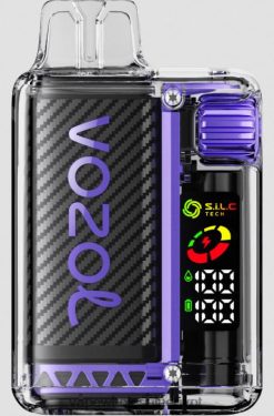 2R86DB12 - Vape مصر الجديدة جليد العنب VOZOL VISTA 16000/20000 5%