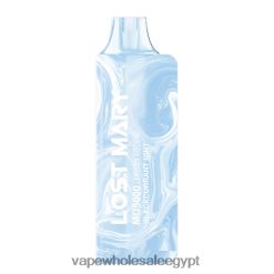 2R86DB540 - Disposable Vape Cairo النعناع الكشمش الأسود LOST MARY MO5000 الطبعة المجمدة