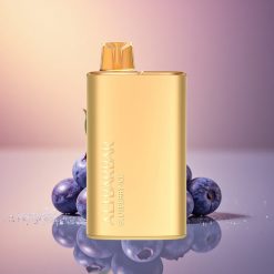 Alibarbar Rich 8000 Puffs توت أزرق جليدي 20 مل 2000 مللي أمبير