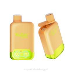 شراء Vape بالجملة P2ZB123 Vapsolo TWINS vape القابل للتصرف ليمون و ثلج بطيخ