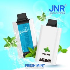 JNR BATMAN 11000 0L8684 نعناع طازج Cairo Vape Shop